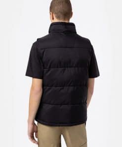 Dickies Waldenburg Vest Black