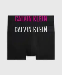 Calvin Klein Intense Power 2-Pack Trunks Black