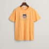 Gant Teens Archive Shield T-shirt Coral Apricot