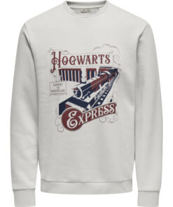 Onsxmas Crew Lunar Rock