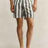 Gant Block Striped Swim Shorts Dry Herb green